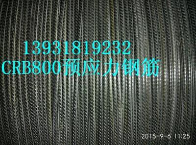 预应力钢筋CRB800楼板钢筋CRB800预质板钢筋CRB800-方萍的图片-企博网职业博客